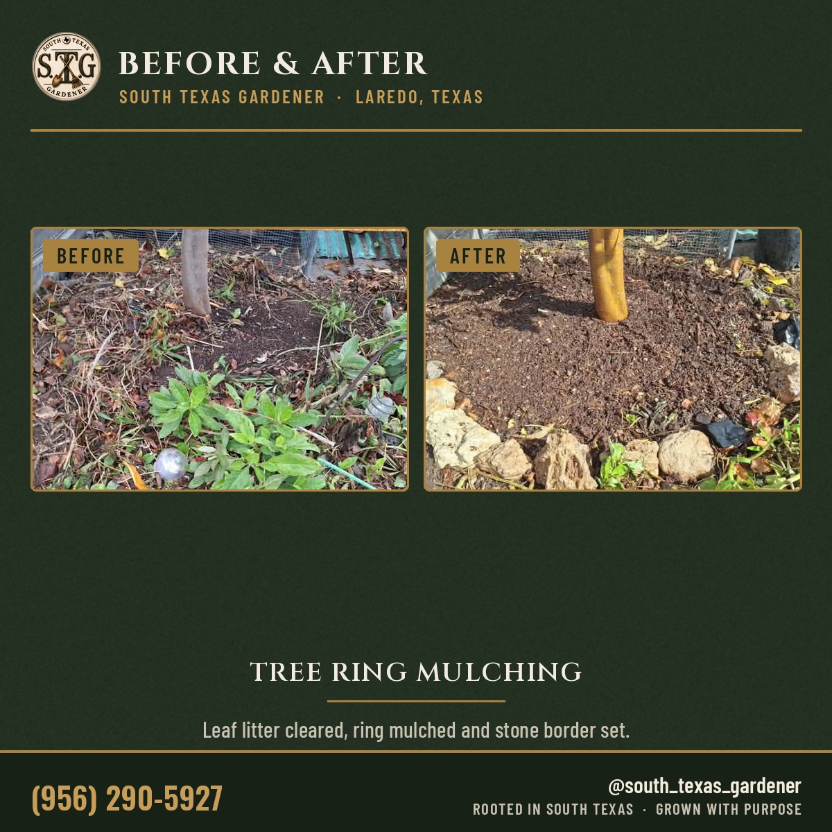 Tree ring mulching in Laredo, before and after